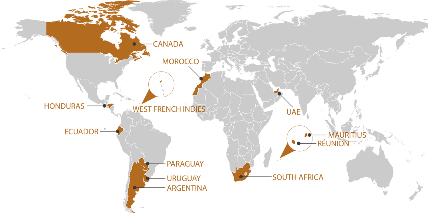 RGIS_FRANCHISE_WORLD_EN